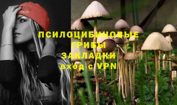 бутират Алексин