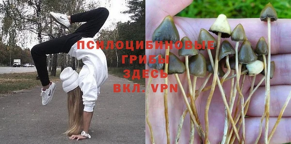 a pvp Алексеевка
