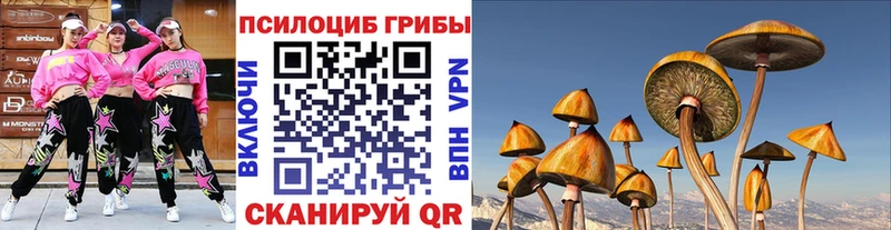 Галлюциногенные грибы ЛСД  Навашино 