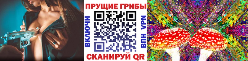 Галлюциногенные грибы мицелий Навашино